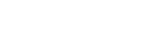 Omni icon